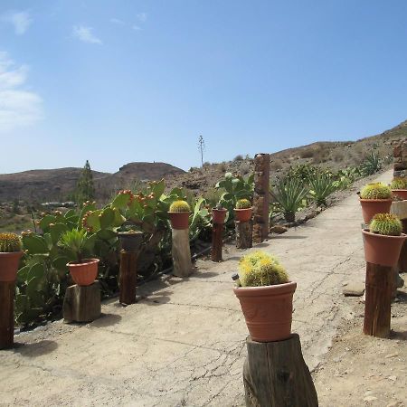 Vivelorural Casa En Valle De Chira Con Piscina San Bartolomé 外观 照片